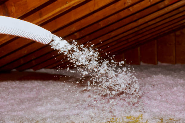 Best Insulation Materials and Products in Phoenix Lake, CA