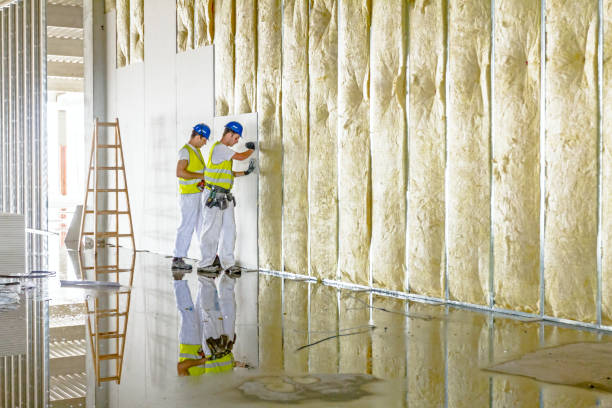 Best Types of Insulation in Phoenix Lake, CA